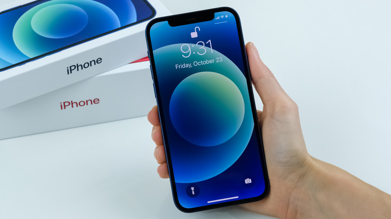 Person holding iPhone and boxes