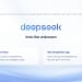 deepseek website