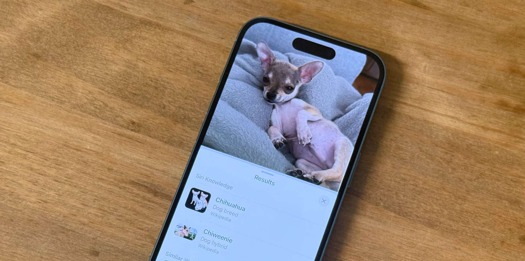 iPhone 17 Air leak Visual Look Up running on iPhone 16 Pro Max, iOS 18.2