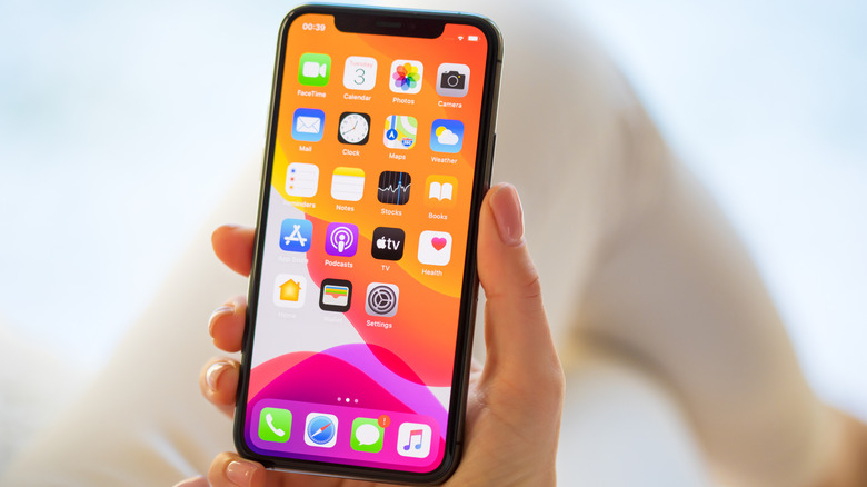 An iPhone 11 Pro in hand.